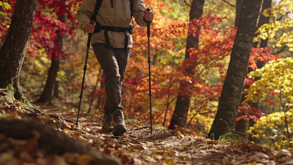beginner hiker using trekking poles and walking carefully on fall hiking trail